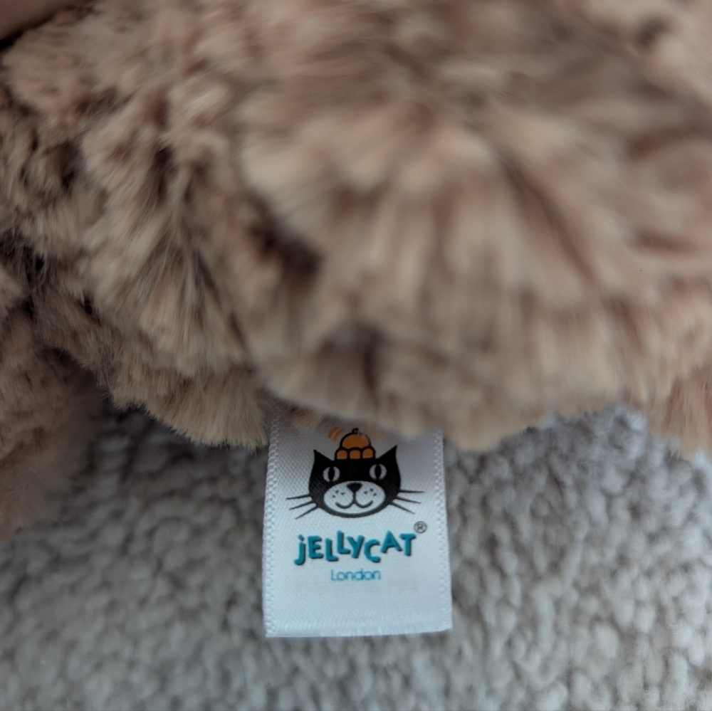 JELLYCAT Bumbly Bear Small New With Tags Plush BUM6BR And Book I Might Be Little - Picture 6 of 14
